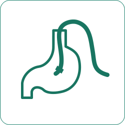 胃内視鏡検査アイコン