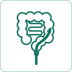 大腸内視鏡検査アイコン